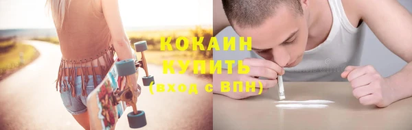 прущие грибы Каменка