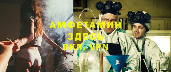 прущие грибы Каменка