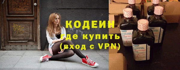 прущие грибы Каменка