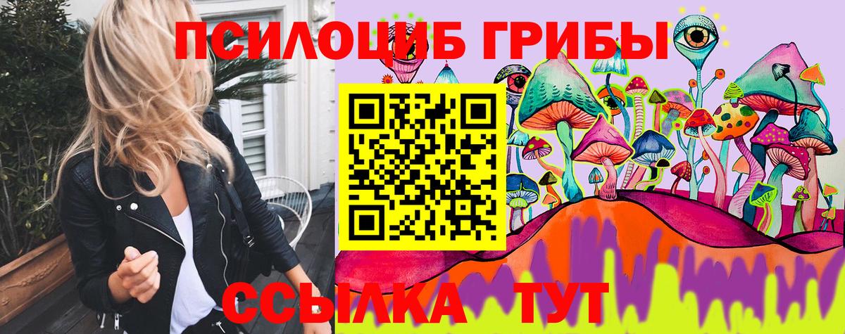 Псилоцибиновые грибы Cubensis  Вход с VPN  Мончегорск 